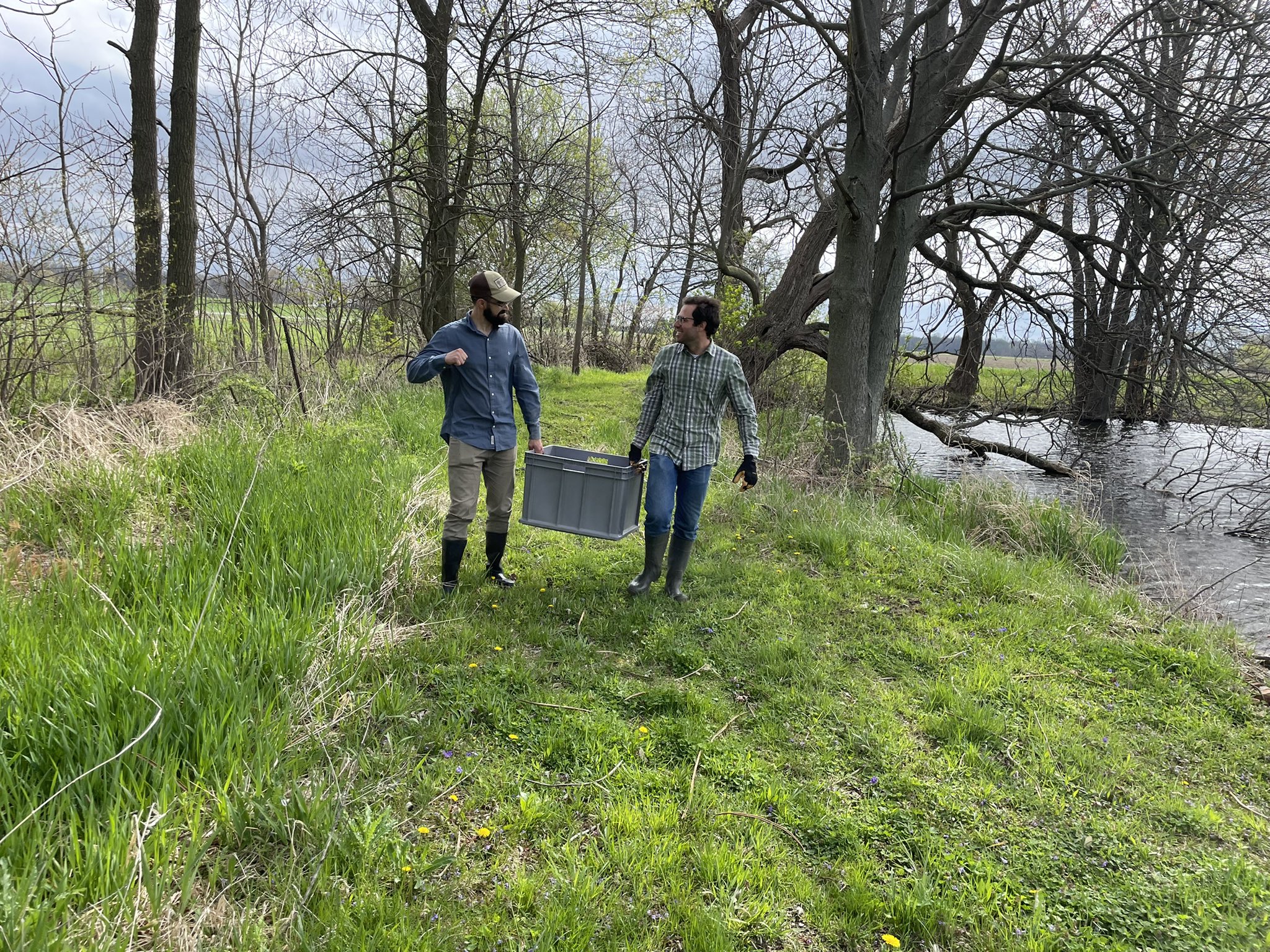 Two men walking together in a field carrying a plastic bin together and talking.