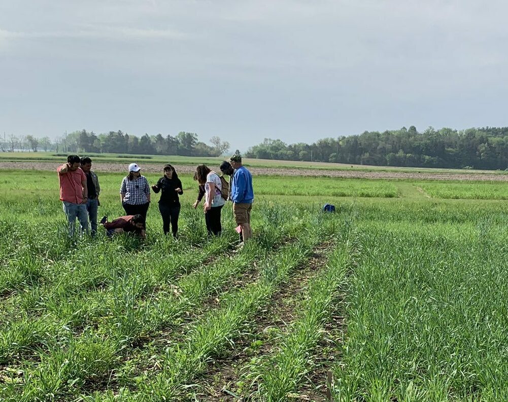 group of people in a field of crops