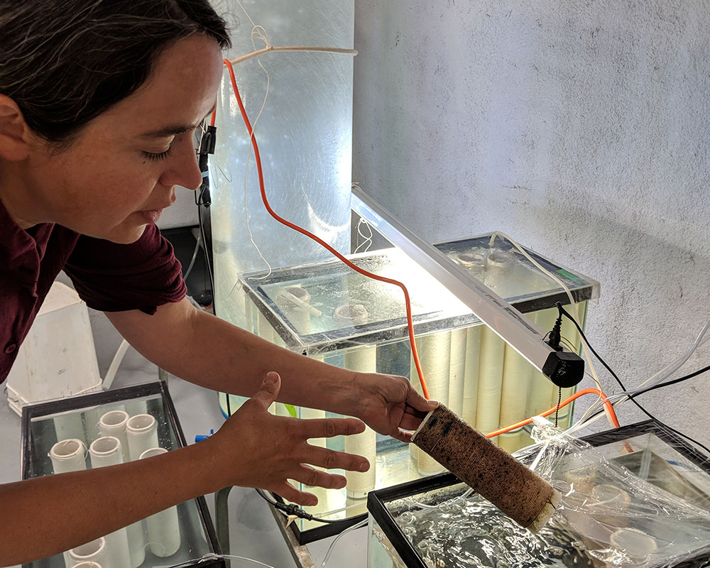 Maine farmer Sarah Redmond