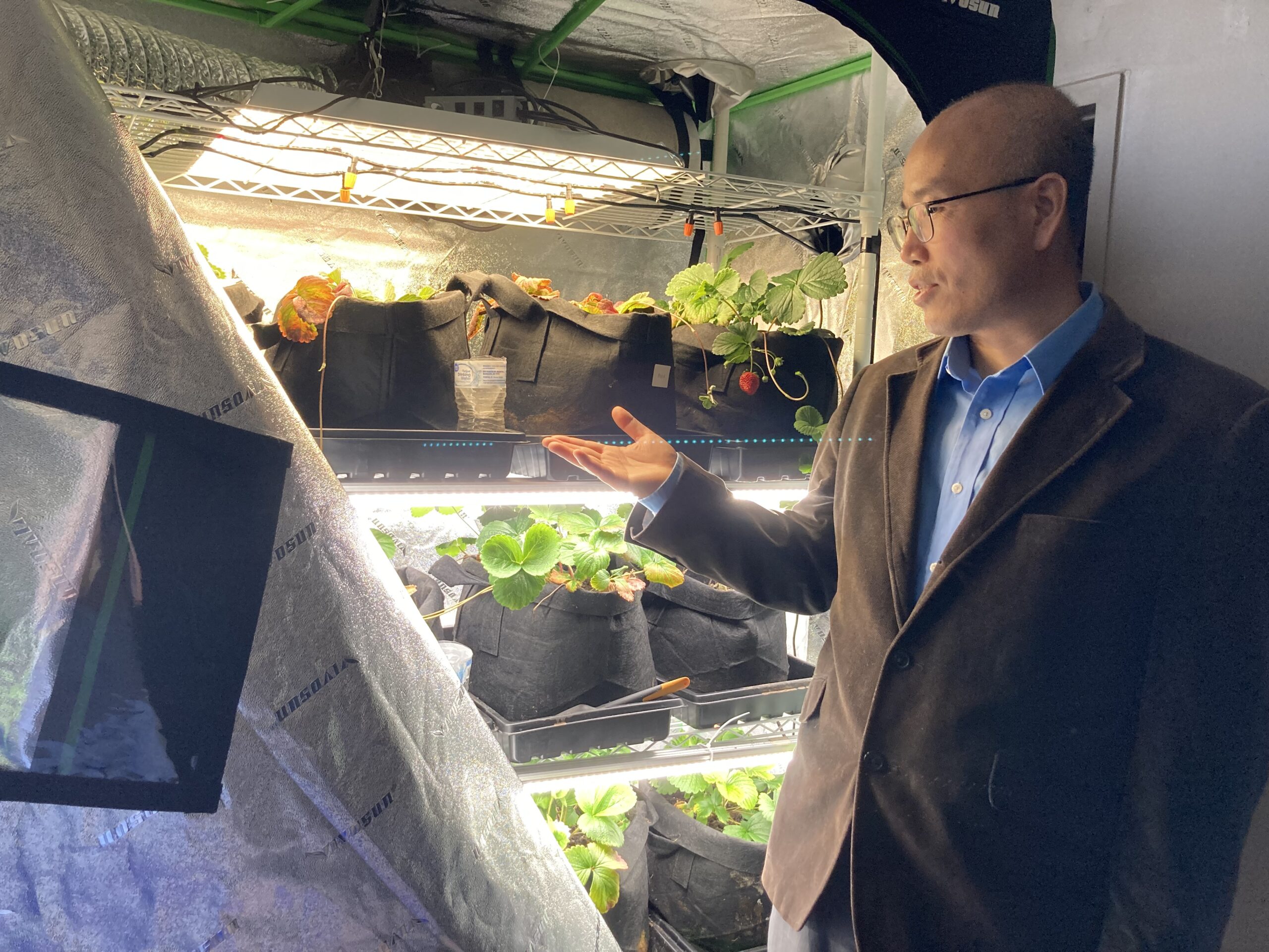 Middle Tennessee State University professor Hongbo Zhang