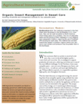 reading on organic insect management in sweet corn