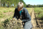 Relinda Walker overcame weed and disease pressures to produce Georgia's first ever organic peanut crop in 2007.