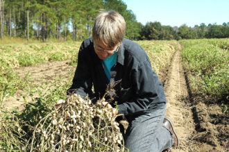 Relinda Walker overcame weed and disease pressures to produce Georgia's first ever organic peanut crop in 2007.