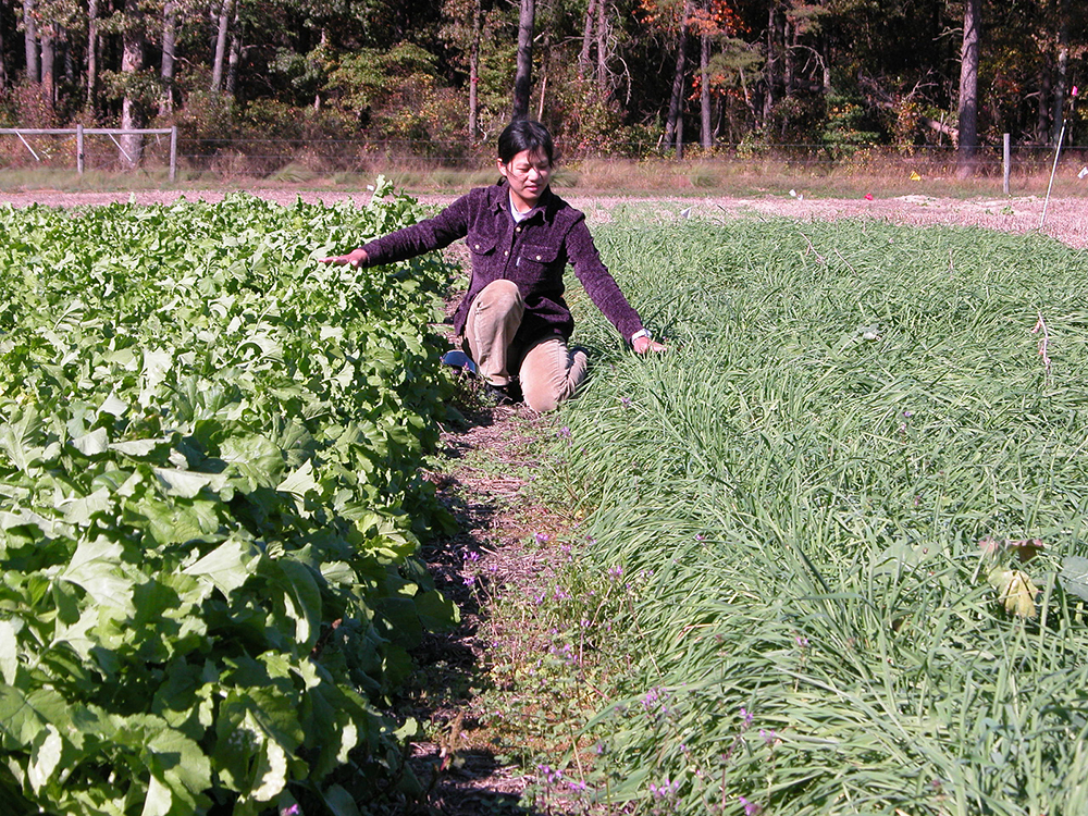 women kneeling down in a field to touch crops
