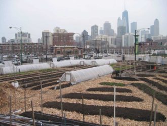 low tunnel structures 