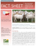 cover image of small ruminant parasite fact sheet