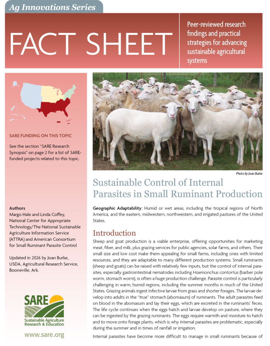 cover image of small ruminant parasite fact sheet