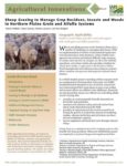 Fact sheet Sheep Grazing to Manage Residues, Insects and Weeds Cover Image