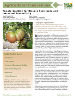 Tomato Grafting Fact Sheet