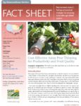 Asian Pear Thinning Cover