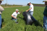 men in a field