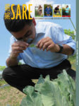 Cover of SARE's 2015-16 issue of a man inspecting a leaf through a magnifying glass