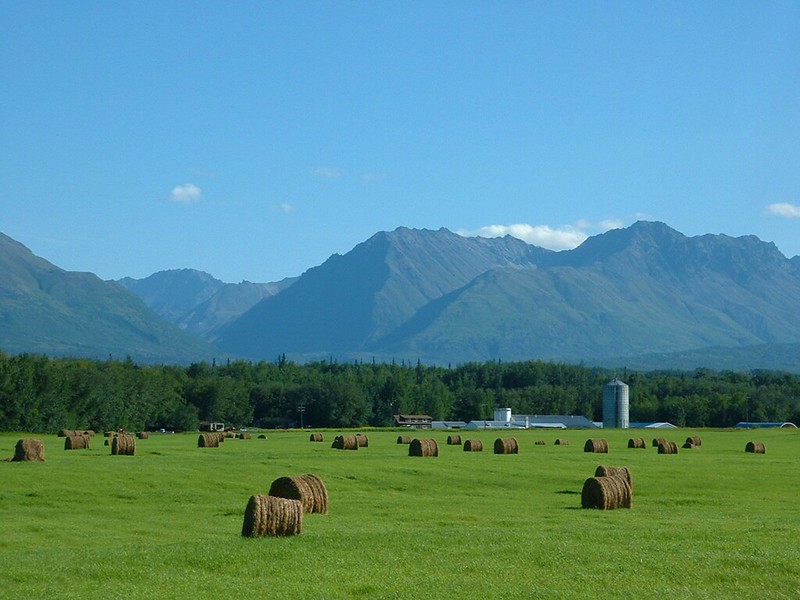 Hay bales in a field with mountains in the background