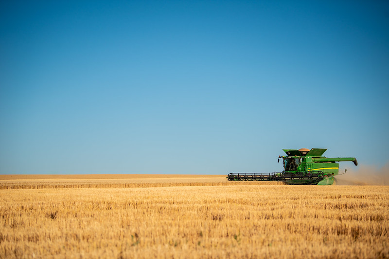 A tracker in a wheat field with a blue sky