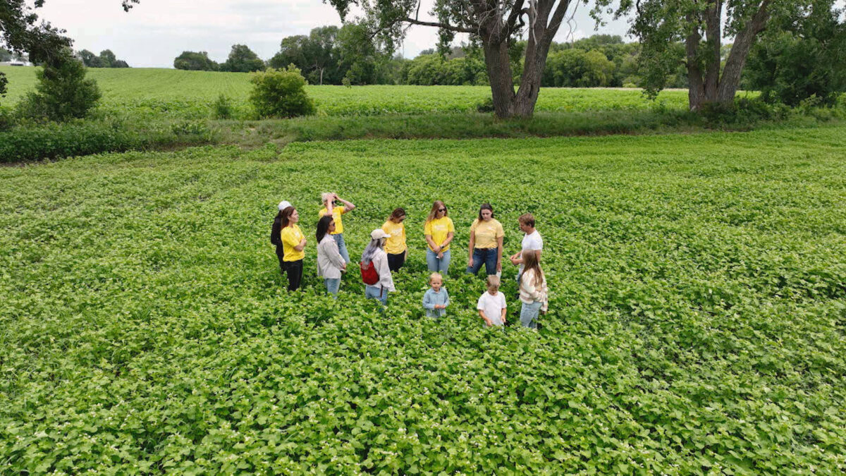 Group of people standing in a lush green crop.
