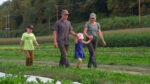 Two parents holding the hands of a child, with another walking alongside them in a field