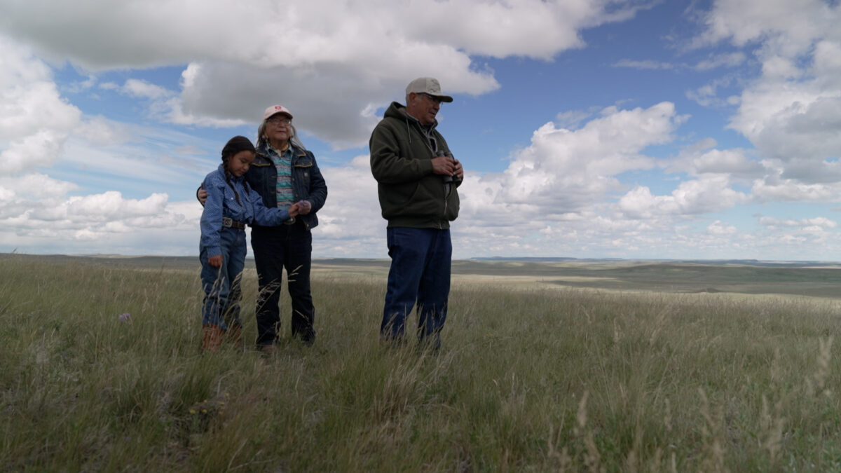 Two adults and one child standing in a field looking over a field
