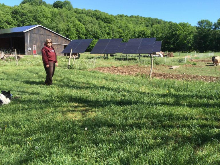 Woman in a farm field beside a solar array Woman in a farm field beside a solar array
