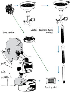 Observing Soil Life - SARE