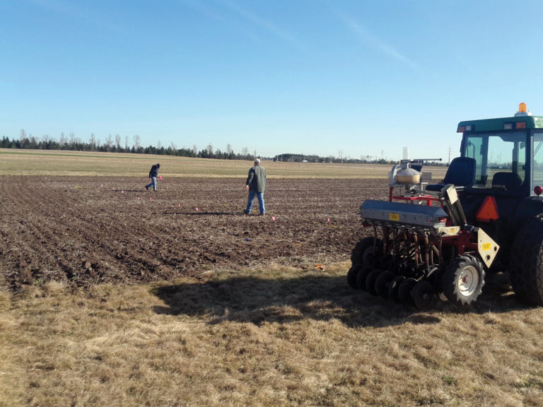Barley Trial Planting Barley Trial Planting