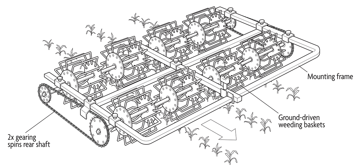 Drawing of a large basket weeder across several crop rows with labels