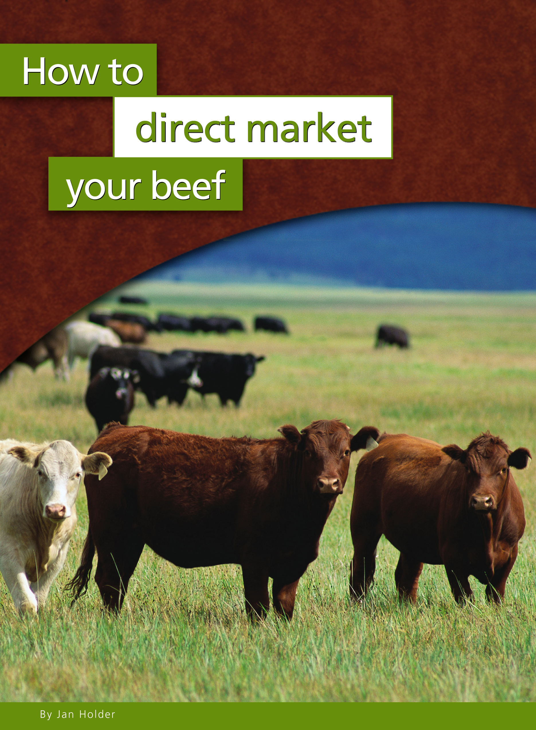 How to direct market your beef cover page with three cows in a field looking at the camera.