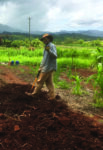 graduate student in sweet potato field