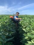 LSU graduate student standing in soybean field.