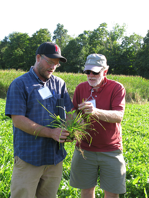 Two people holding a plant