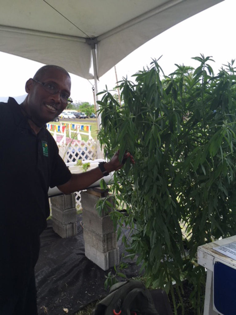 Brennan Washington with sunn hemp Brennan Washington with sunn hemp