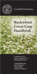Download the Buckwheat cover crop handbook in PDF format