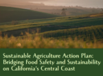 field with title of report