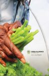 Old hands holding celery stems on the cover of the Farm Alliance Report