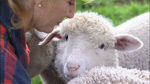 Jeanne Carver video