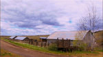 A farm inside a wooden fence, with vast high fluffy clouds in the sky