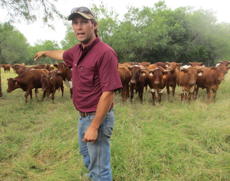 Travis Krause with his cattle at Parker Creek Ranch Travis Krause with his cattle at Parker Creek Ranch