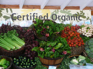 farmers market stand