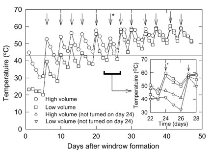 Daily compost temperatures measured during a seven-week in-house cycle with of high and low initial volumes of composting material.