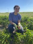 female graduate student in chile field