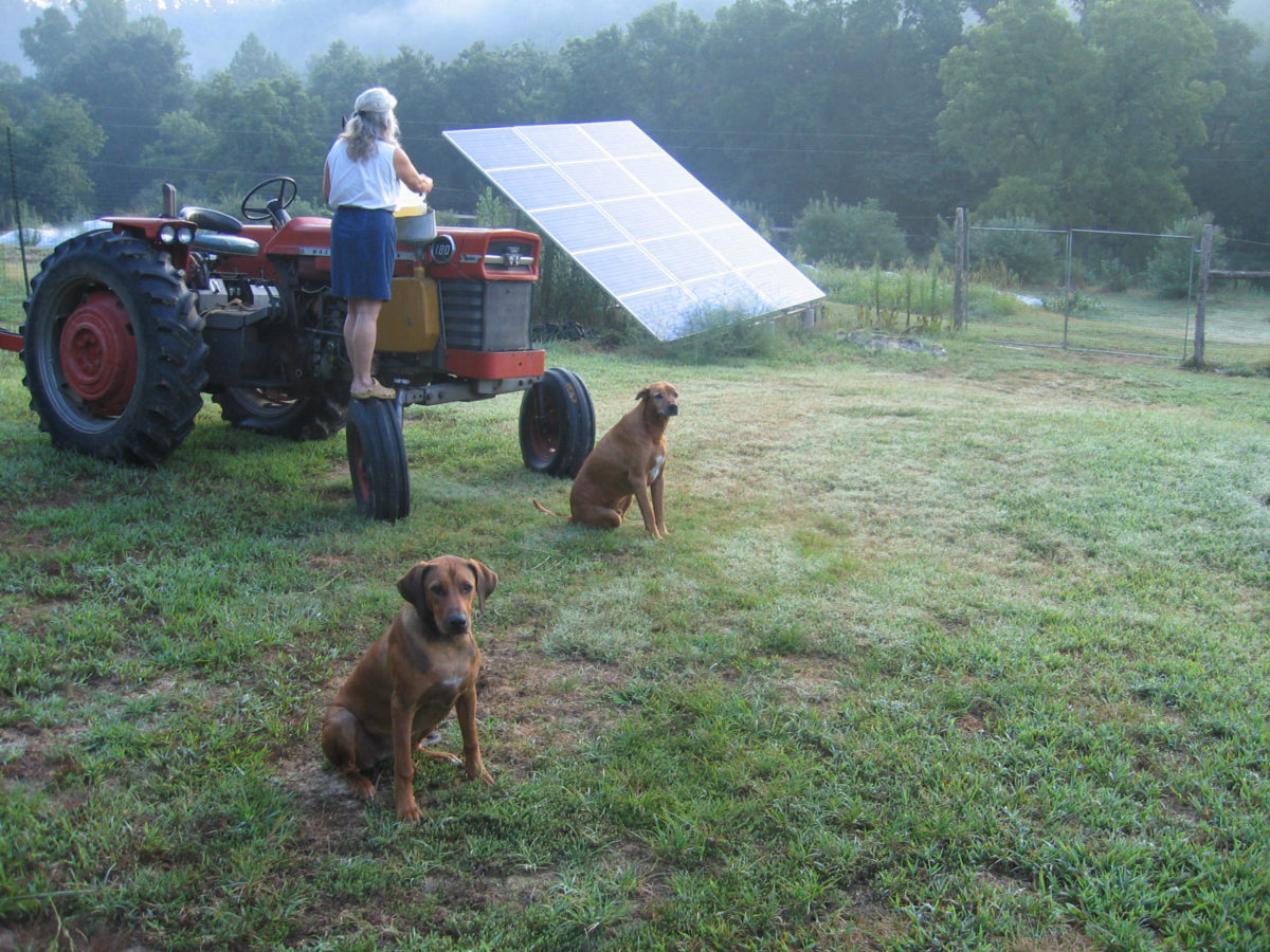 Lady pouring vegetable oil into a tractor, with solar panels behind her.