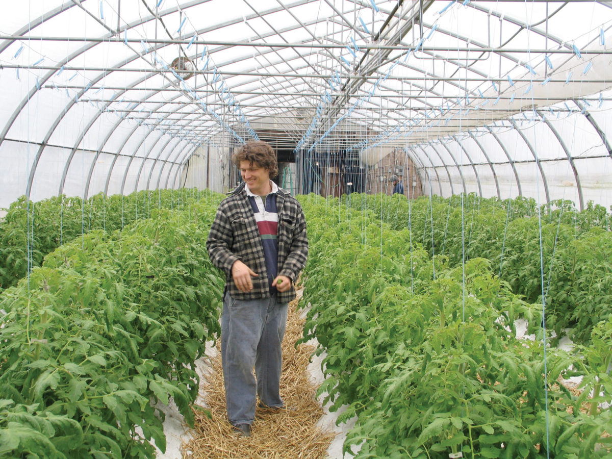 Man in a greenhouse