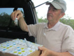 Joe Dickey collecting bee samples