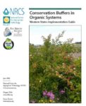 page deleted Cover of an article about buffers organic systems featuring a flower bush