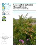 Conservation-Buffers-in-Organic-Systems-Idaho-Implementation-Guide.jpg Conservation on Buffers in Organic Systems article screenshot with a picture of a plant with blooming flowers.