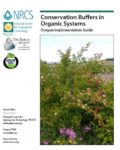 Conservation-Buffers-in-Organic-Systems-Oregon-Implementation-Guide.jpg Conservation on Buffers in Organic Systems article screenshot with a picture of a plant with blooming flowers.