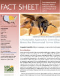 Controlling Honey Bee Diseases Fact Sheet Cover