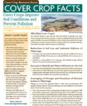 cover crop facts cover cover crop facts cover