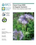 Cover Crop in Organic Systems