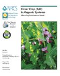 https://www.sare.org/wp-content/uploads/Cover-Crop-in-Organic-Systems-California-Implementation-Guide.pdf?inlinedownload=1 Article about Cover crops featuring a picture of blooming purple flowers