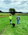 Two farmers and a dog walking away in a vibrant green field
